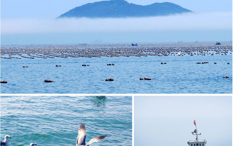 1575873058583486TR8j.jpg 7.jpg