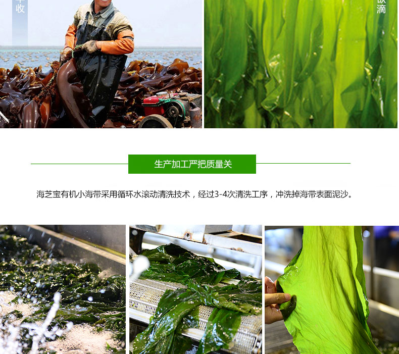 1576035477924043IPqG.jpg 12.jpg